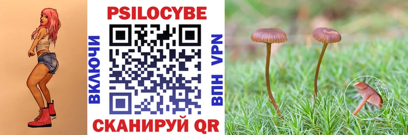 Псилоцибиновые грибы Cubensis  наркотики  Кинель 
